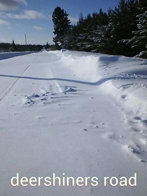 Wisconsin Cold