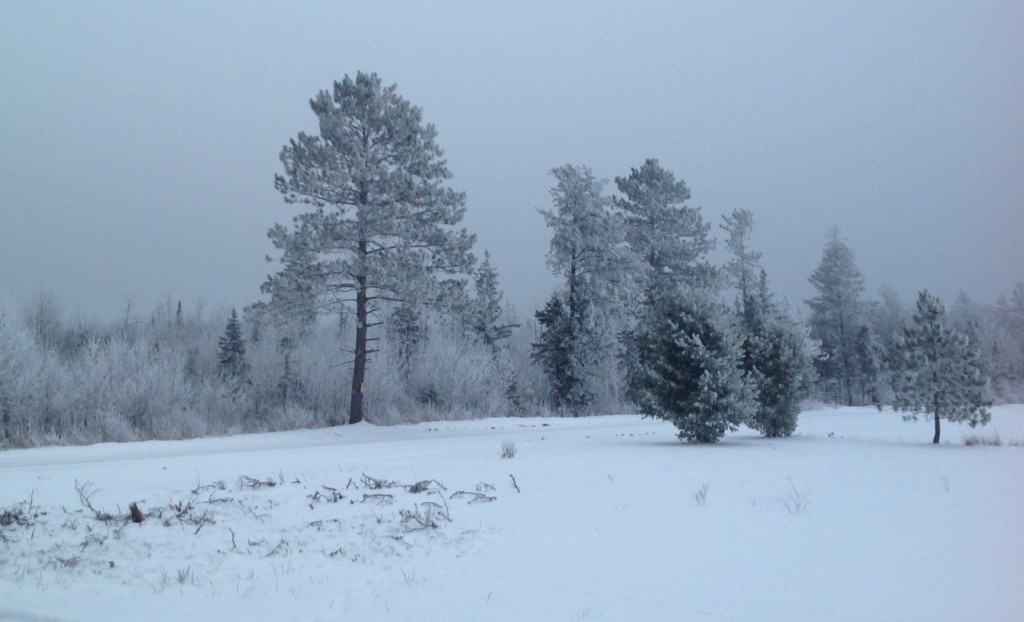 Winter morning