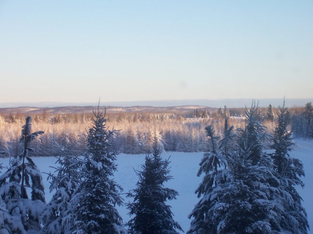 North view from 2nd Floor Window, farmhouse